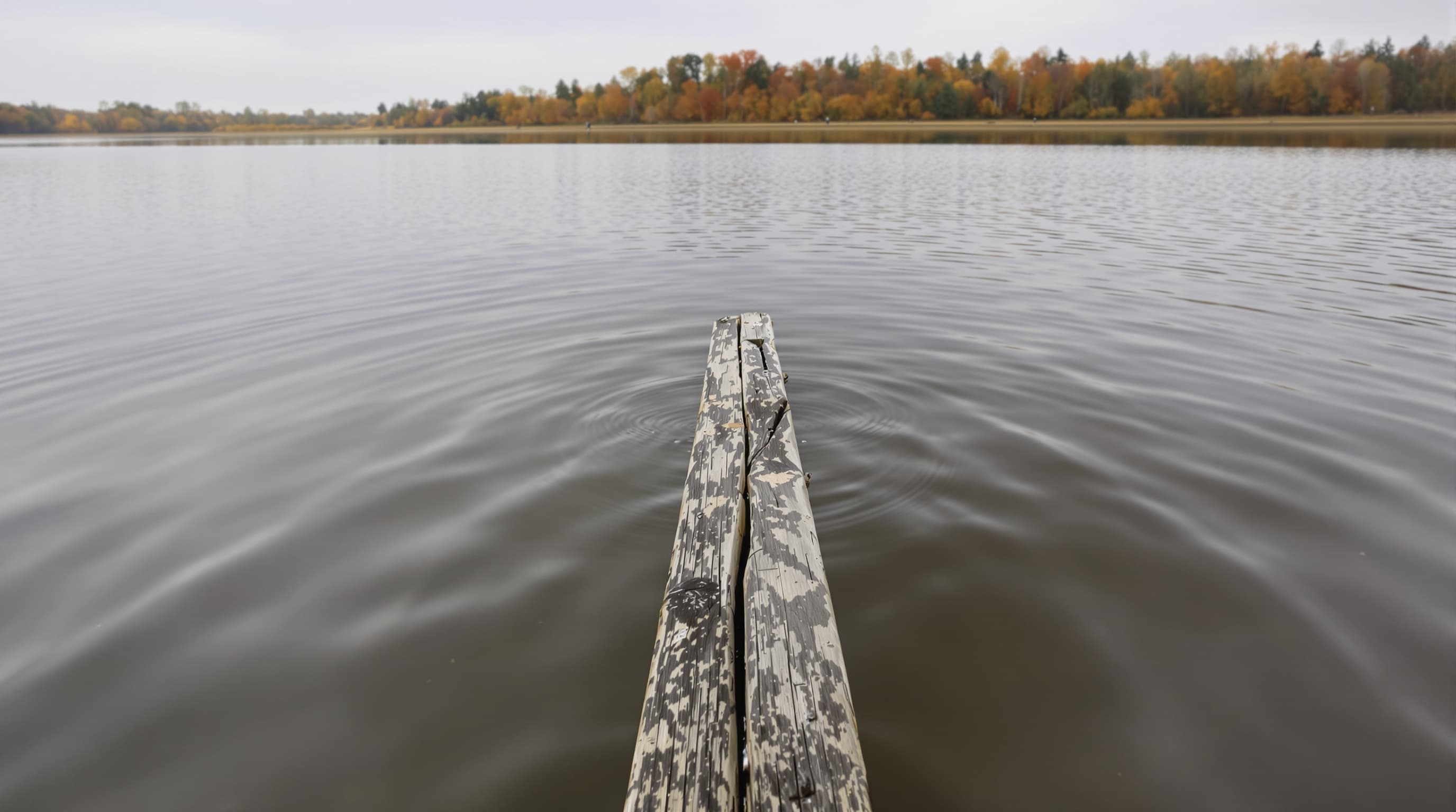 Een exclusieve paddeltocht door de natuurgebieden rond het Gooimeer — waar u kunt ontdekken dat er nog steeds plekken bestaan waar geen Tesla's parkeren