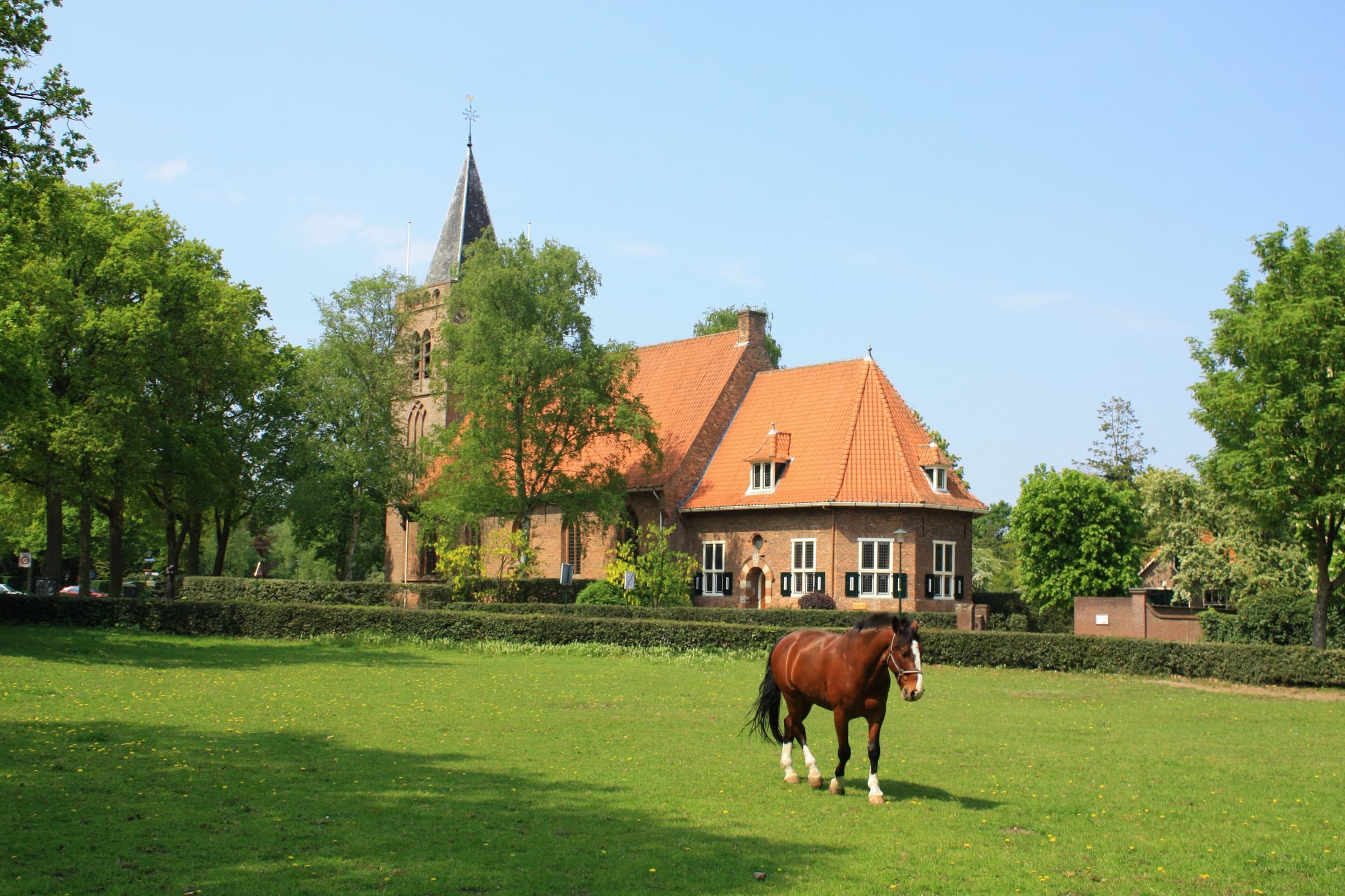 De oude Hervormde kerk van Blaricum met spitse toren en oranje daken tussen hoge bomen, met een paard in de wei op de voorgrond en een blauwe lucht