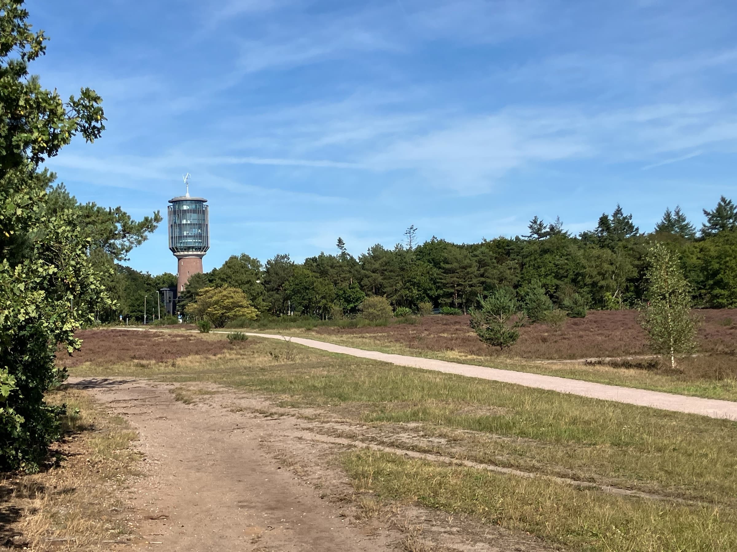 Een zandpad over de heide, met in de verte een watertoren met glazen top boven de bomen.