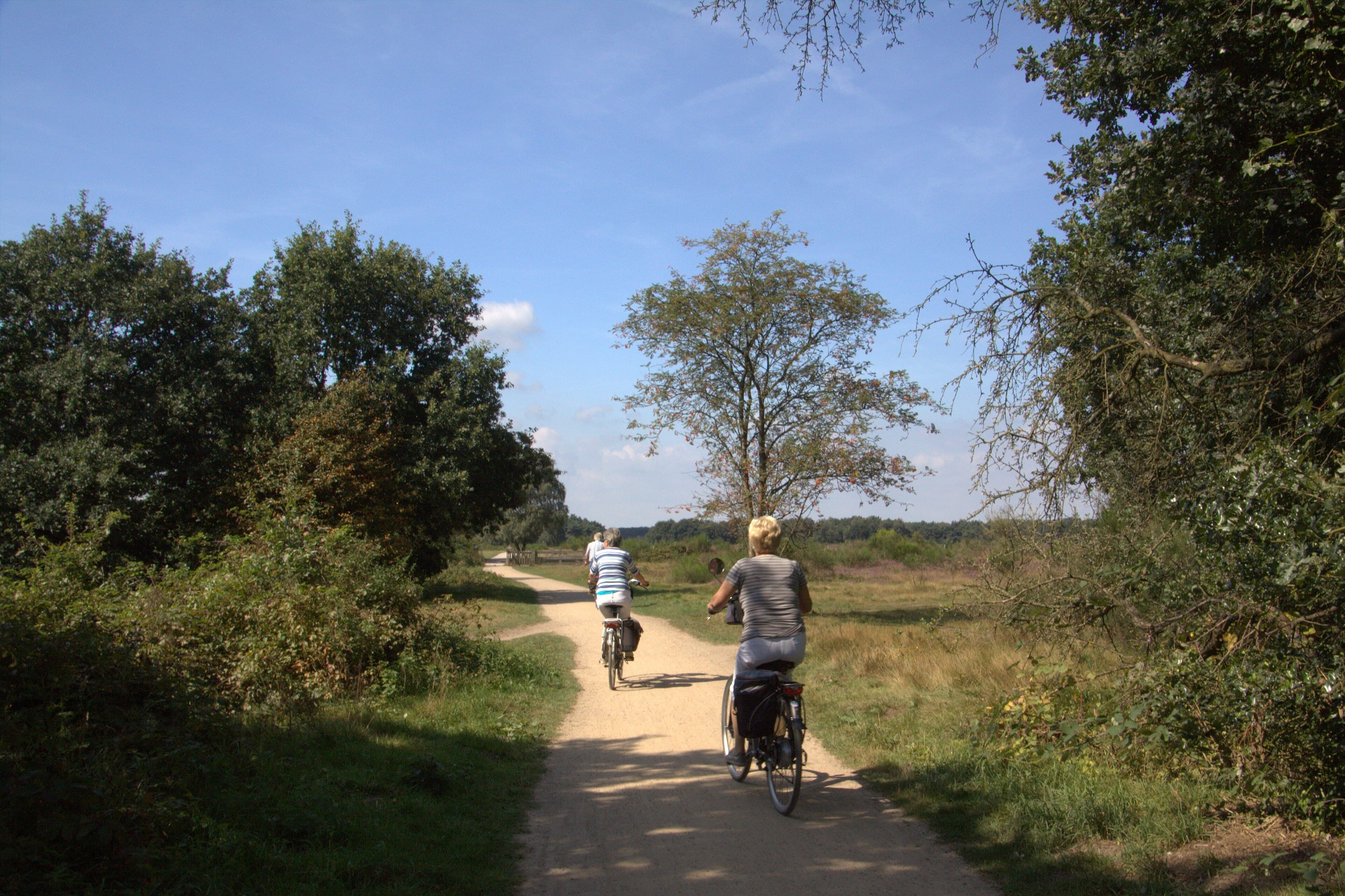 Twee fietsers rijden over een zandpad dat dwars over de Westerheide loopt, tussen struikgewas en bomen, op een zonnige dag